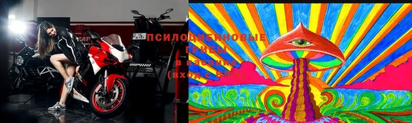 эйфоретик Баксан