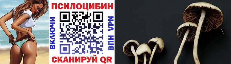 Псилоцибиновые грибы мицелий  Калининец 